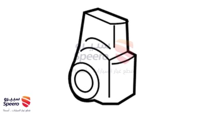 حساس صدام