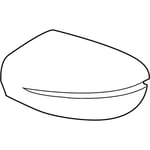 صورة Left Side Mirror Cover