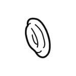 صورة كلتش كمبروسر