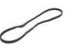 Steering Belt - 9936330750