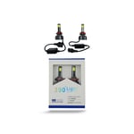 صورة لمبات °390 LED فوكاس بيم  FOCUS BEAM H11