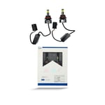 صورة لمبات °360 LED فوكاس بيم FOCUS BEAM 300W - 9007