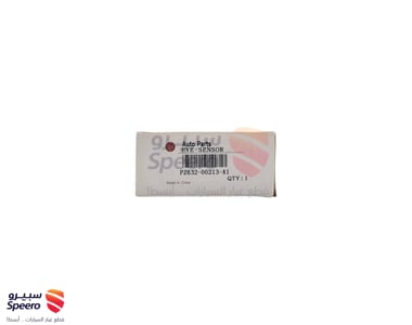 حساس لاندكروزر خليجي 2016 - AM000381