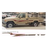 صورة خط شطرطون جانبي شاص 2010 اصلي وكالة