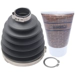 صورة جلدة عكس امامي خارجي