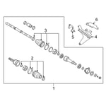 صورة جلدة عكس امامي خارجي