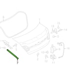 صورة Right Trunk Strut