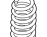 Coil Spring - DG1Z5560B