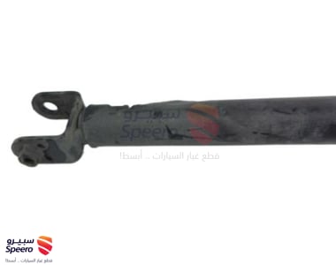 Shock ABSORBER Kit Rear - E62104RA2A