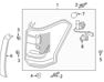 Tail Lamp Assembly - JL1Z13405H