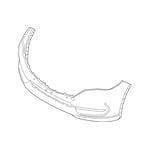 صورة صدام امامي