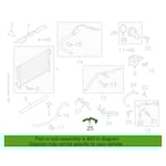 صورة لي رديتر فوق