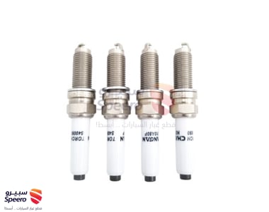 بواجي - NE14T0030200