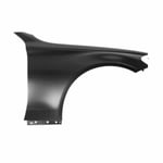 Front Left Fender A2058800218