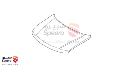 كبوت