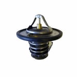 صورة Engine Coolant Thermostat