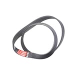 صورة Dynamo Belt