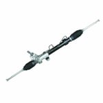 صورة دودة دركسون تحت