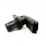 صورة حساس تيمن