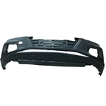 صورة صدام امامي