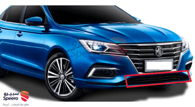 Grille Bumper