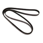 صورة Engine Belt