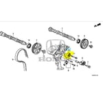 صورة شداد سير تيمن صغير