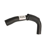 صورة HOSE, RADIATOR, NO.1