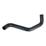 صورة Lower Radiator Hose