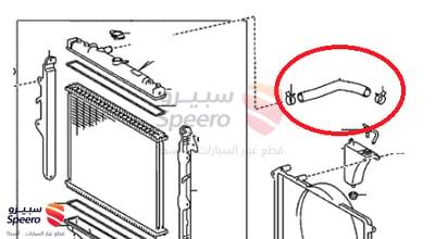 Upper Radiator Hose