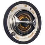 صورة Thermostat Valve