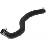 صورة Lower Radiator Hose