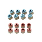 صورة طقم جلد بلوف