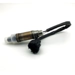 صورة Heated Oxygen Sensor