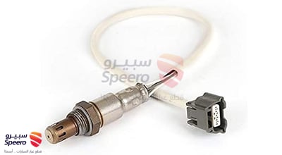 حساس شكمان