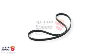 Dynamo Belt