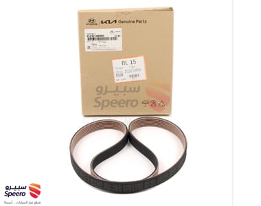 Engine Belt - 252122M000