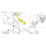 صورة Hose Assembly-Radiator, Lower