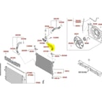 صورة Radiator Hose