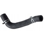 صورة HOSE ASSY-RADAATOR,LWR