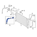 صورة Hose Assembly-Radaator, Lower