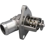 صورة Thermostat Valve