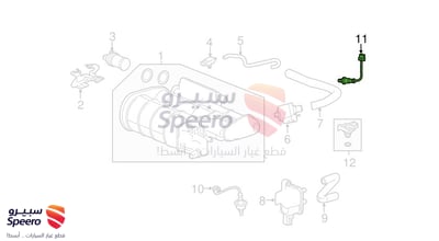 حساس شكمان