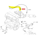 صورة حساس شكمان امامي
