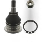 صورة Ball Joints Up