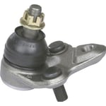 صورة Ball Joints Down