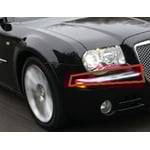 صورة زيق صدام