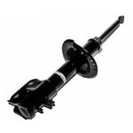 صورة مساعد امامي