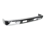 صورة صدام امامي