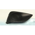 صورة Right Fog Light Cover